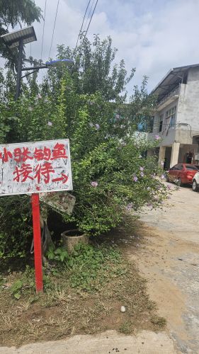 继光水库小张钓鱼场钓场环境照片