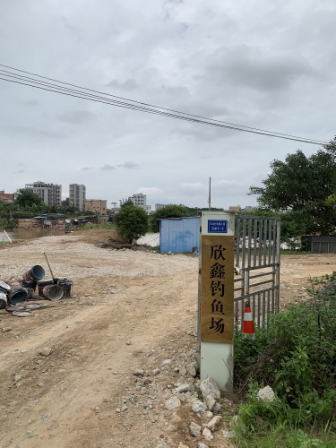 欣鑫钓鱼场钓场环境照片