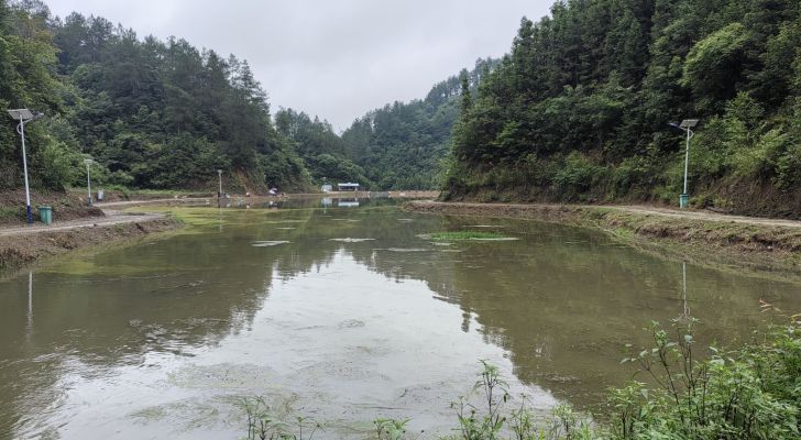森华垂钓娱乐中心钓场环境照片
