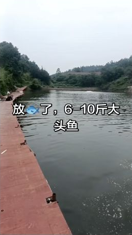 下时渔满塘垂钓场钓场环境照片