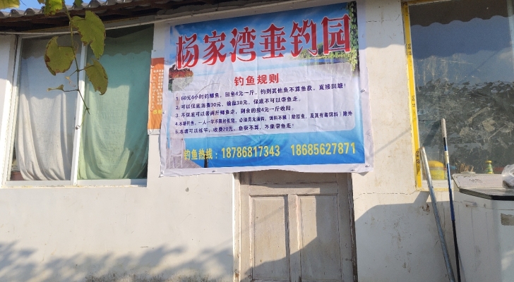 杨家湾垂钓园钓场环境照片