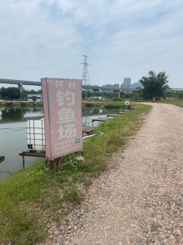 何林钓鱼场钓场环境照片