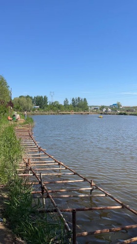 威海鑫春路亚钓场钓场环境照片