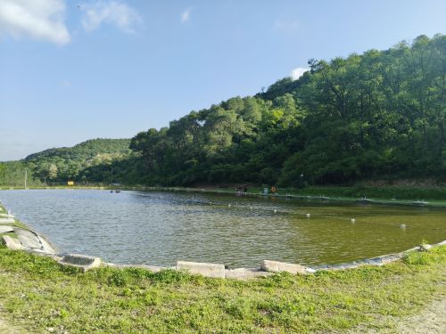 麟游县三亭垂钓园钓场环境照片