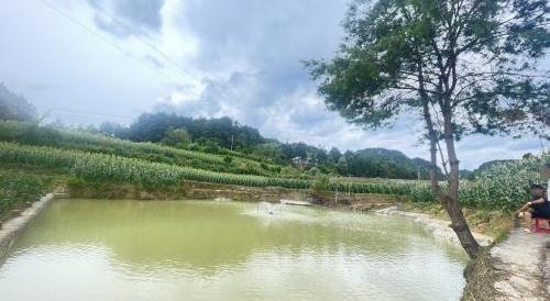 马桑湾清水垂钓园钓场环境照片