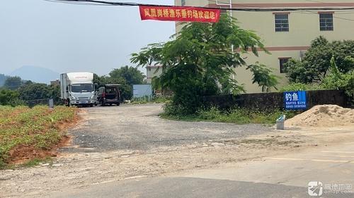 凤凰岗桥钓鱼场钓场环境照片