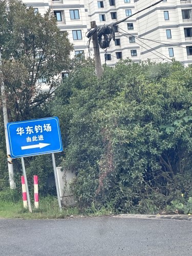 华东钓场钓场环境照片