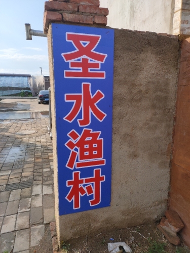 圣水渔村垂钓园钓场环境照片