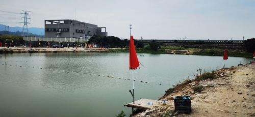 6号钓场钓场环境照片