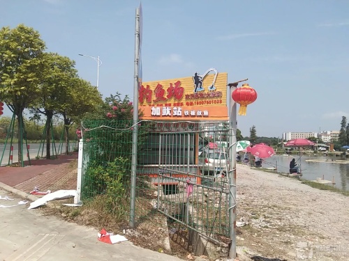 均安欢天喜地大家乐鲤鱼钓场钓场环境照片