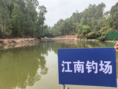 江南钓场钓场环境照片