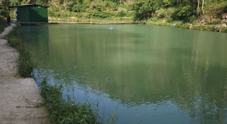 苗二河欢乐钓场钓场环境照片