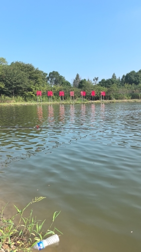 凤阳鸿标大物垂钓中心钓场环境照片
