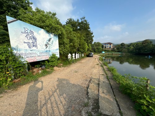 三新垂钓园钓场环境照片