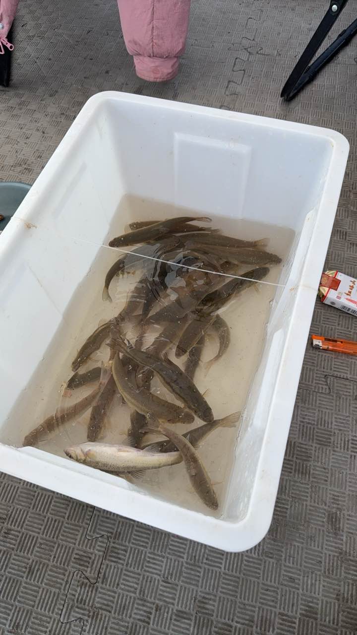 忘忧鱼垂钓园钓场环境照片