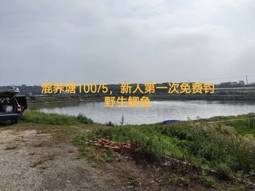 长丰县随心所渔垂钓园钓场环境照片