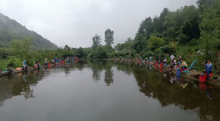 光临休闲垂钓场钓场环境照片