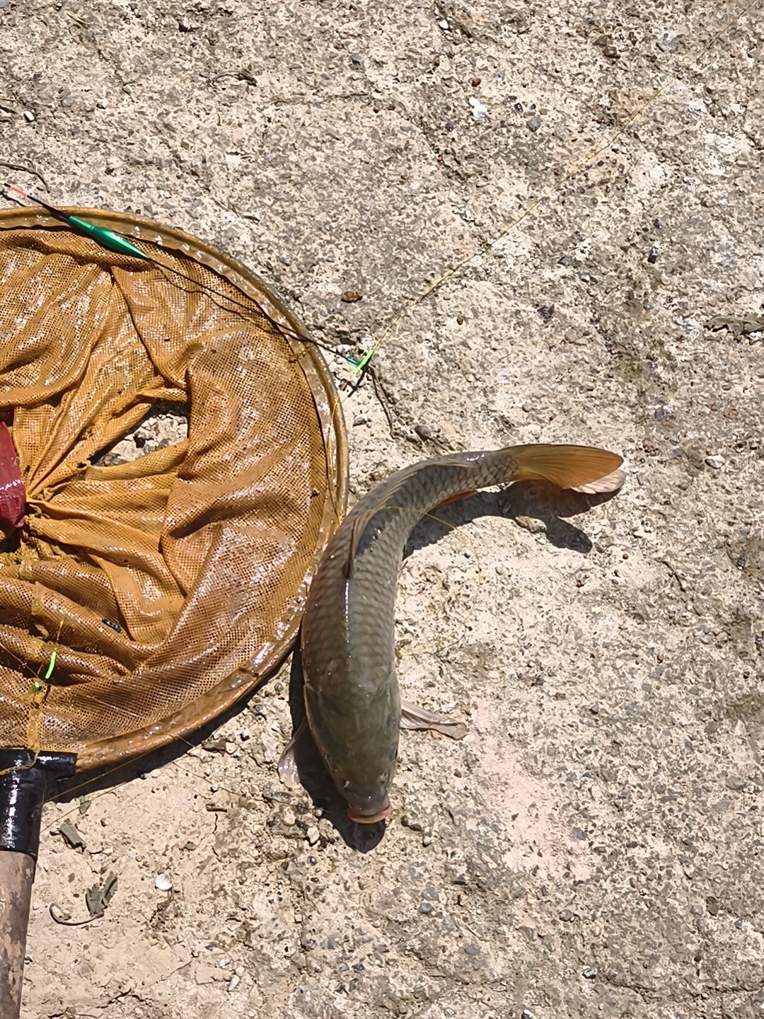 超娃儿钓场钓场环境照片