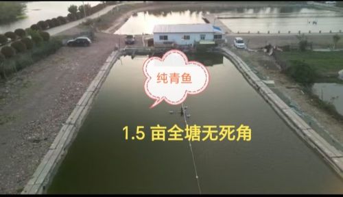阿娇钓鱼场钓场环境照片