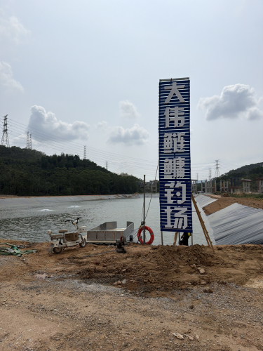 大伟鲢鳙钓场钓场环境照片