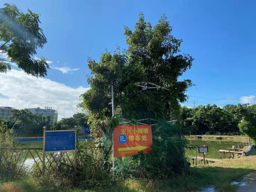 宏兴小圆塘钓场环境照片