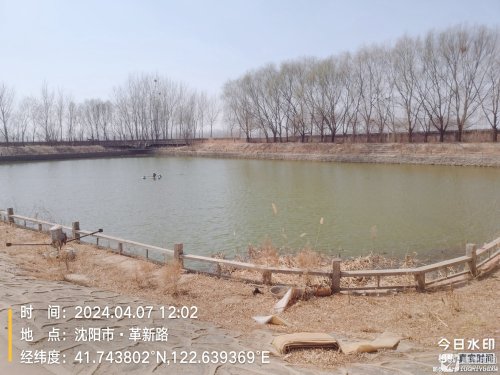 广为垂钓园钓场环境照片