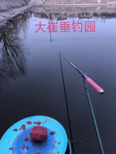 大崔垂钓园钓场环境照片