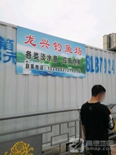 龙兴草鱼塘钓点与钓场环境照片