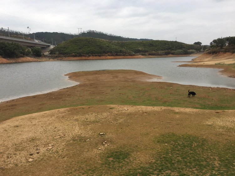 年年有鱼钓鱼基地钓点与钓场环境照片