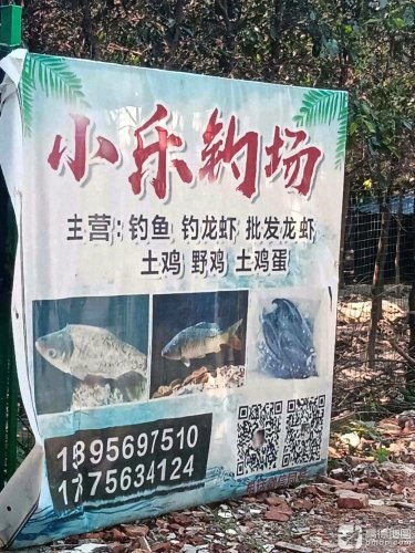 张家港市塘桥镇小乐垂钓散养土鸡钓场环境照片