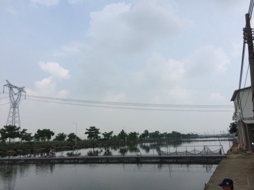 九记钓鱼场钓点与钓场环境照片