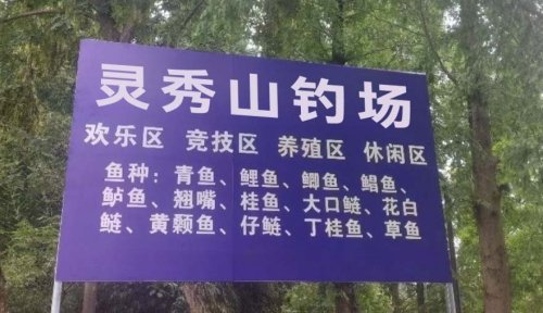 灵秀山晨风钓场钓场环境照片