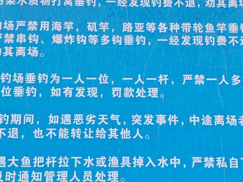 双飞渔钓场钓点与钓场环境照片