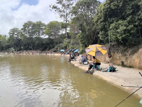雁鸣湖钓鱼场钓点与钓场环境照片
