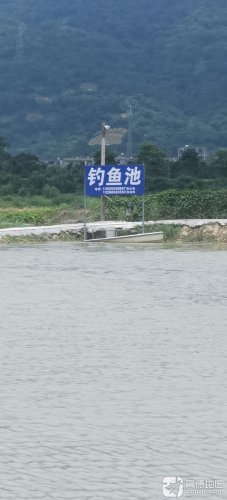 莲花塘钓场钓点与钓场环境照片