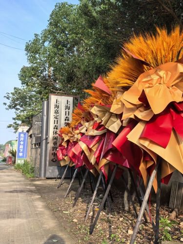 上海嘉定日森休闲垂钓中心钓点与钓场环境照片