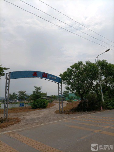 西湖钓鱼场钓场环境照片