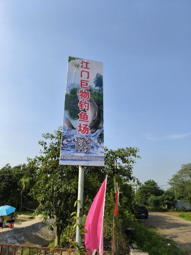 江门巨物钓鱼场钓点与钓场环境照片