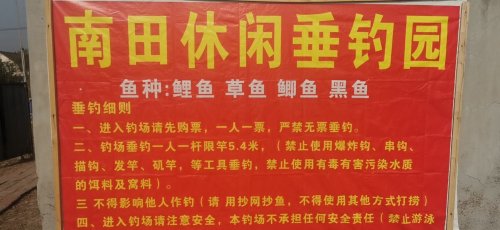 南田休闲垂钓园钓点与钓场环境照片