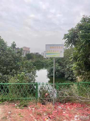 东排园鱼塘钓场环境照片