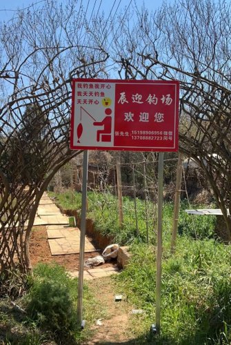辰迎钓场钓点与钓场环境照片