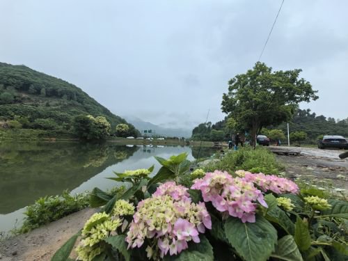 千家垂钓基地钓点与钓场环境照片