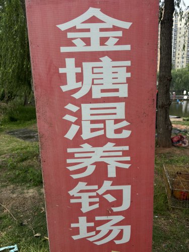 金塘钓场钓点与钓场环境照片