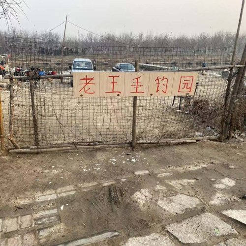 老王垂钓基地钓点与钓场环境照片