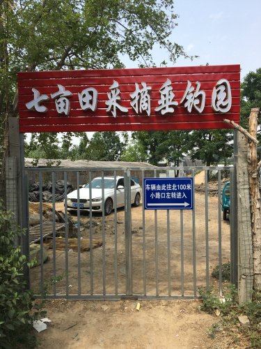 七亩田采摘垂钓园钓点与钓场环境照片