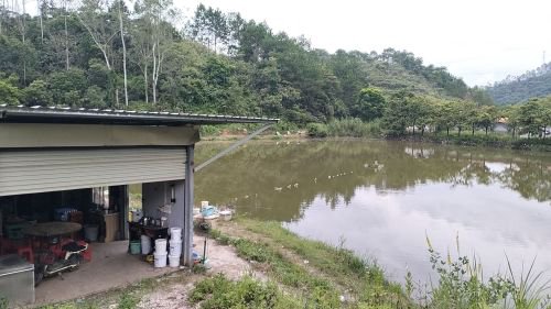 黄茅洞钓鱼场钓点与钓场环境照片