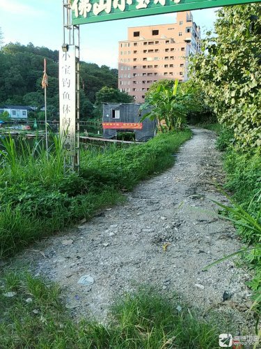 里水小宝钓鱼休闲基地钓点与钓场环境照片
