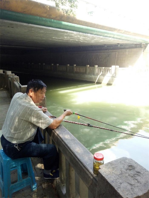凤凰亭桥底钓点与钓场环境照片