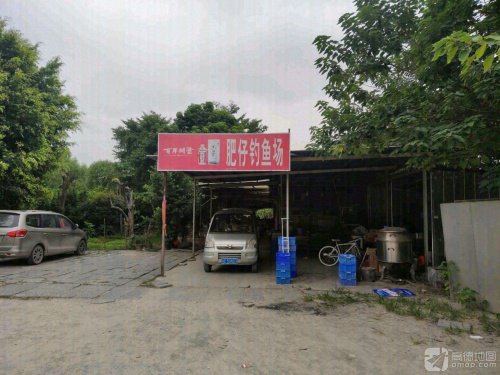 肥仔钓鱼场钓点与钓场环境照片