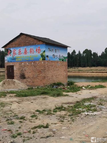 大家乐垂钓场钓点与钓场环境照片